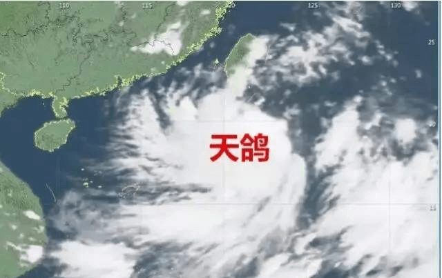 “天鸽”来临,因安装低质报警器损失10万