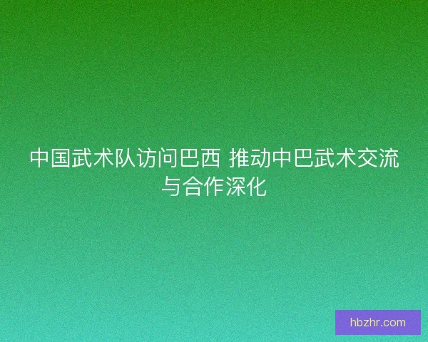 中国武术队访问巴西 推动中巴武术交流与合作深化 中国武术队访问巴西 推动中巴武术交流与合作深化